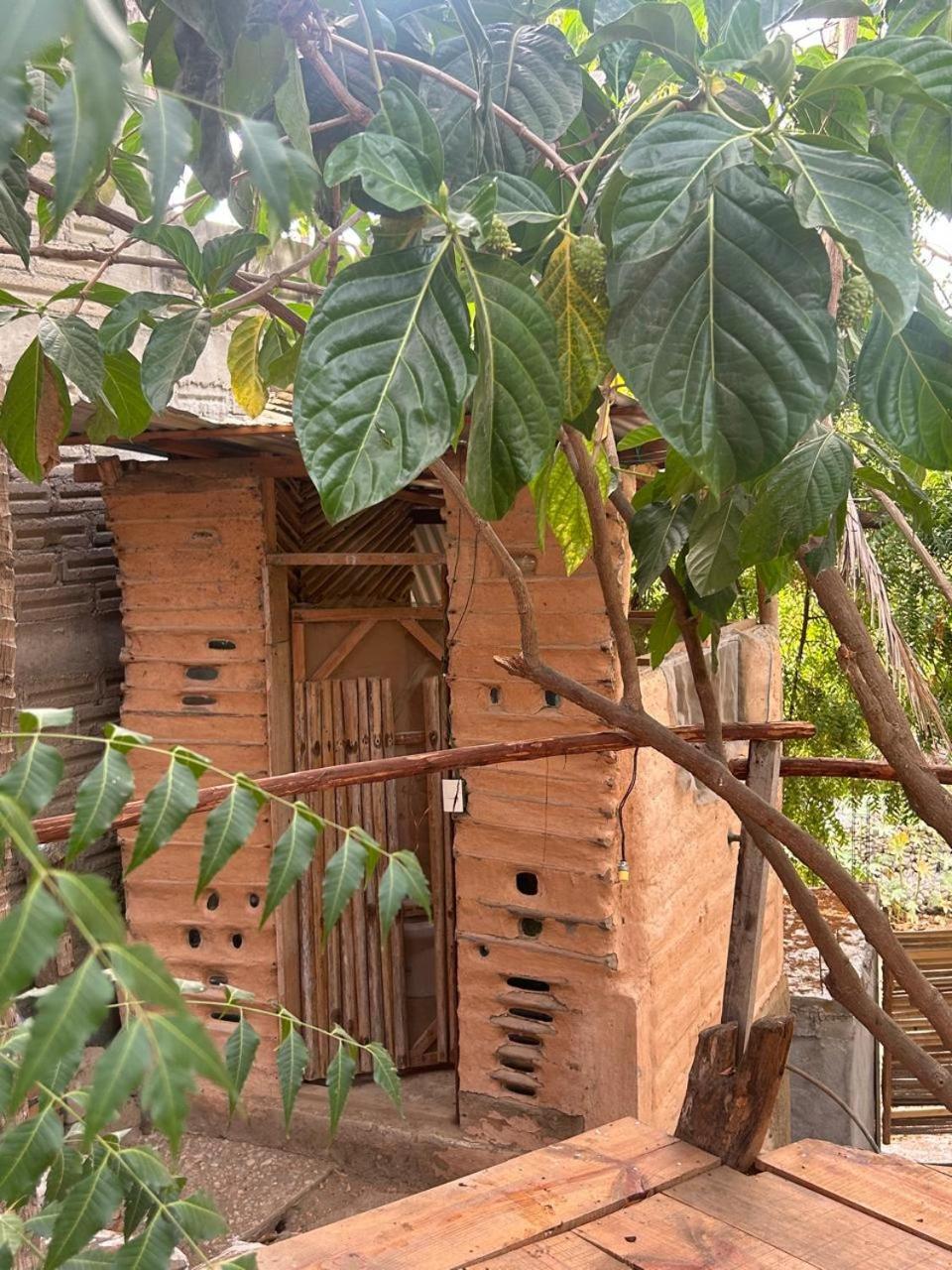 Casa De Las Brujas Hostal 지폴리테 외부 사진